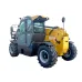 T3007