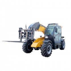 T3007