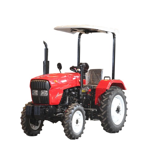 TT254